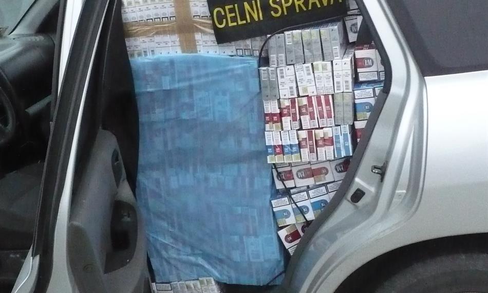 2010-11-11-1449foto 3.JPG